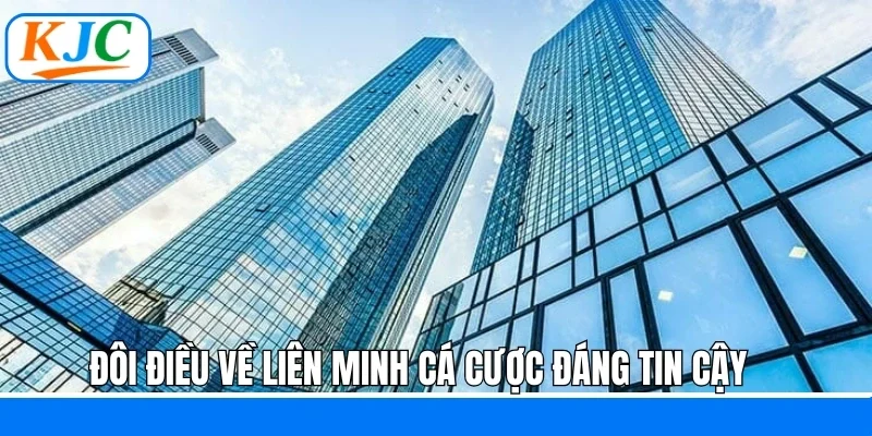 Đôi điều về liên minh cá cược đáng tin cậy