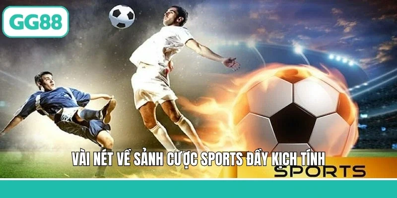 Vài nét về sảnh cược sports đầy kịch tính
